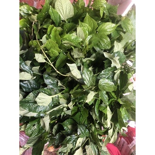 Lá Lốt Tươi 30k/500gr