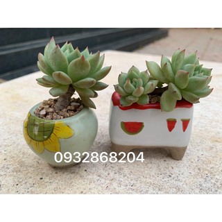 Chậu gốm mini vẽ tay hoạt hình (ib shop chọn mẫu thoải mái)