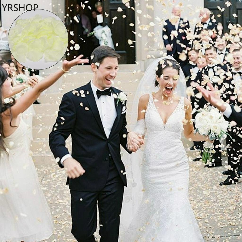 Bộ 100 Cánh Hoa Hồng Giả Trang Trí Tiệc