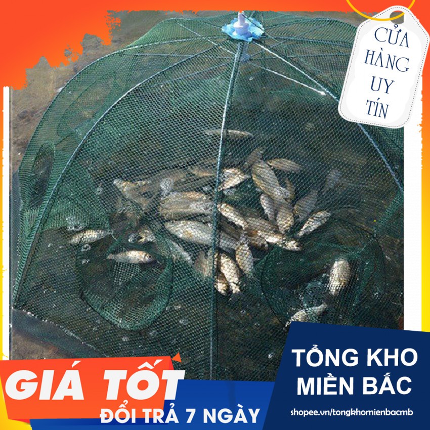 Lưới bắt cá bát quái thông minh, nhỏ gọn(Tổng Kho MB)