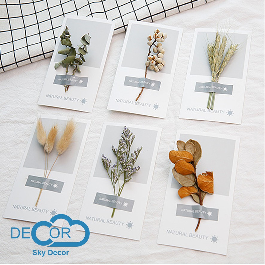 THIỆP HOA LÁ TRANG TRÍ NHÀ CỬA, CỬA HÀNG, POSTCARD, ĐẠO CỤ CHỤP ẢNH SẢN PHẨM