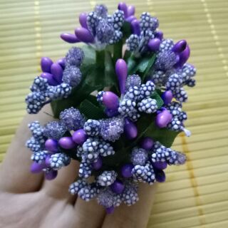 Nhị hoa đẹp xuất xắc