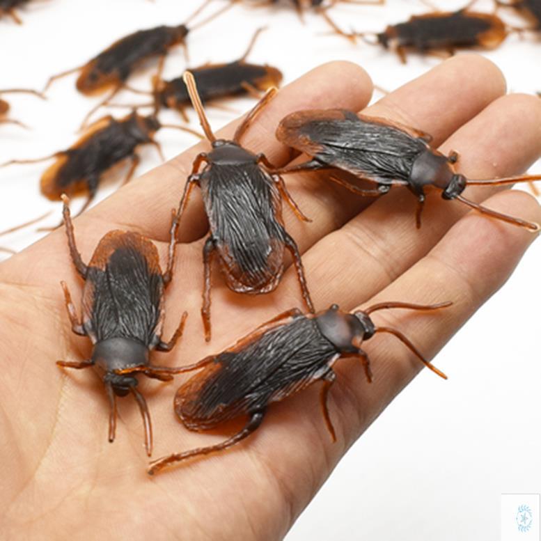 Đồ chơi một con gián - rết - bò cạp như thật