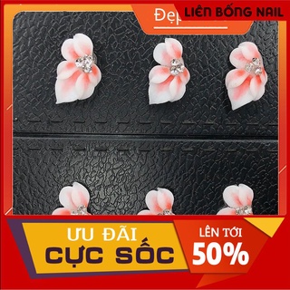 hoa bột nail- hoa góc móng