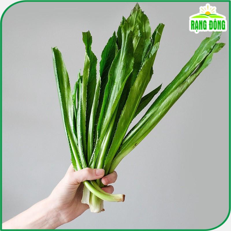 Hạt Giống Ngò Gai (Rau Thơm Mùi Tàu) Dễ Trồng, Sinh Trưởng Tốt (gói 10 gram) - Hạt giống Rạng Đông