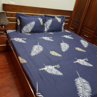 Bộ ga gối cotton hàn thien199