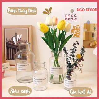 Bình bông cắm hoa - lọ hoa thủy tinh cắm hoa phong cách Bắc Âu trang trí  decor vintage