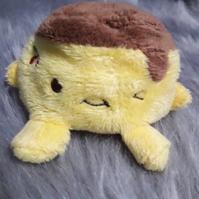 Sét gấu ryan
