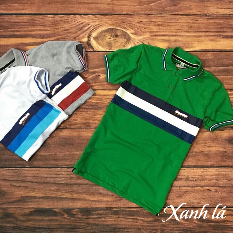 ÁO THUN NAM 3 SỌC | BigBuy360 - bigbuy360.vn