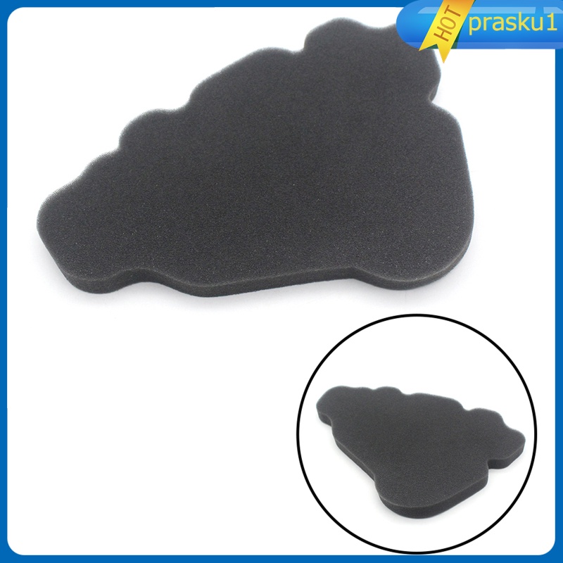 Bộ Lọc Khí Thay Thế Cho Xe Scooter 125 2000-2003 Prasku1 | BigBuy360 - bigbuy360.vn