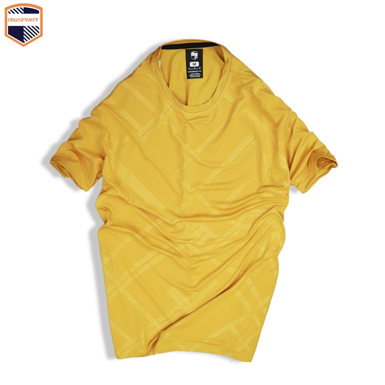 Áo Thun Nam Thể Thao Form Regular Unisex Trơn Basic Cổ Tròn Vải Poly Thun Lạnh Cao Cấp - Big Sport, BS00 | BigBuy360 - bigbuy360.vn