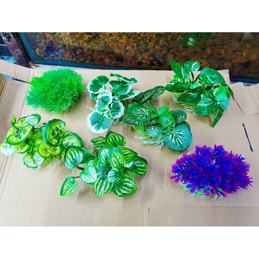 RONG TRANG TRÍ HỒ CÁ NON BỘ CAO 4CM