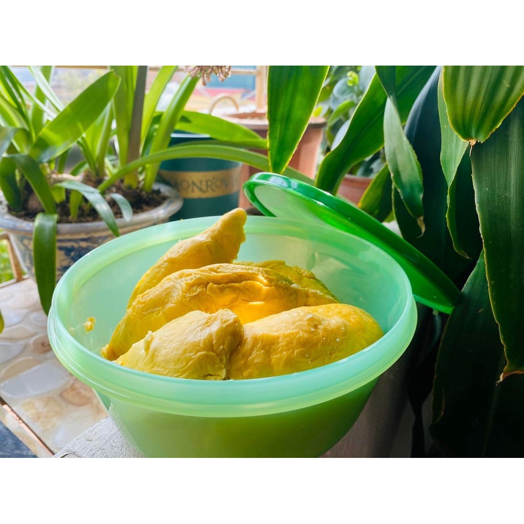 Bát tròn đựng hoa quả sầu riêng, mít chuyên dụng Tupperware - Kín mùi, kín khí, có thể đựng canh, nước dùng, rau sống...