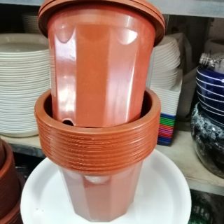 Combo 20 chậu ươm cây E230 kt 18.5x15cm