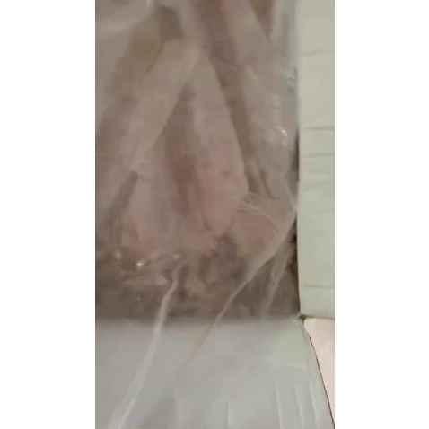 Mực Khô Quảng Ninh, Mực Nguyên Con Phơi Khô Size 6-9con/kg Thịt Ngọt Thơm, Dai Dai