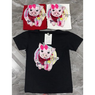 Áo phông kim sa nhiều hình, hàng nhập Quảng Châu