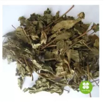 Cây mã đề khô (gói 1kg) - TtD079