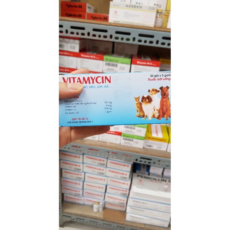 Kháng sinh Vitamycin 5g chó mèo trị tiêu chảy, ói mửa, viêm phổi