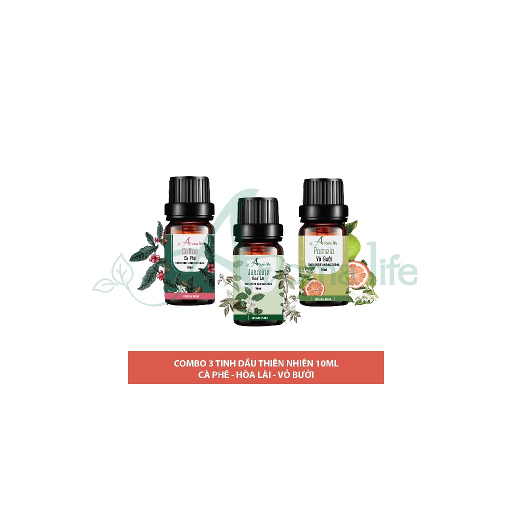 Combo 3 chai tinh dầu 10ml Ấn Độ cho giấc ngủ sâu và êm ái Cà phê - Hoa lài - Vỏ bưởi