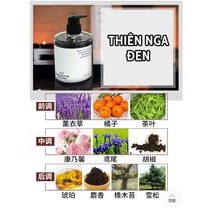 [SẴN] Combo verbena linn mùi nước hoa gồm dầu gội, dầu xả, sữa tắm