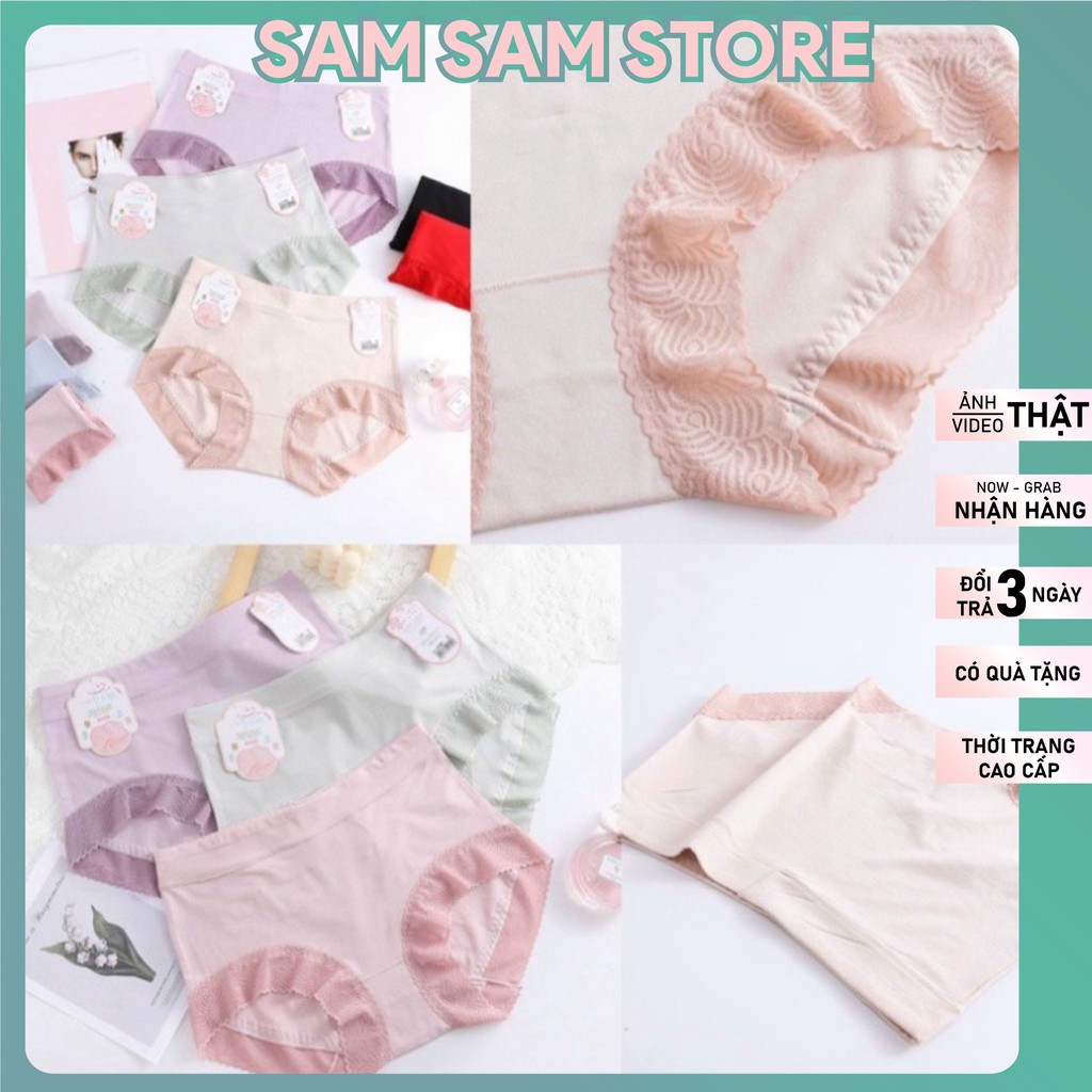 Quần Lót Nữ SAM SAM Cotton Đại Viền Ren Lưng Cao 50-70kg Q249 SAM SAM
