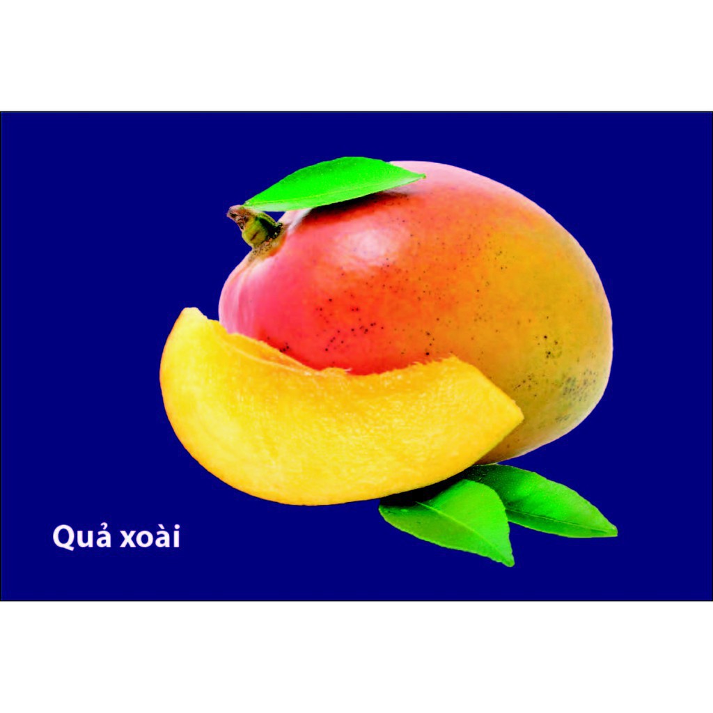 Thẻ Flash Card Thông Minh Bé Nhận Biết Rau Củ Quả