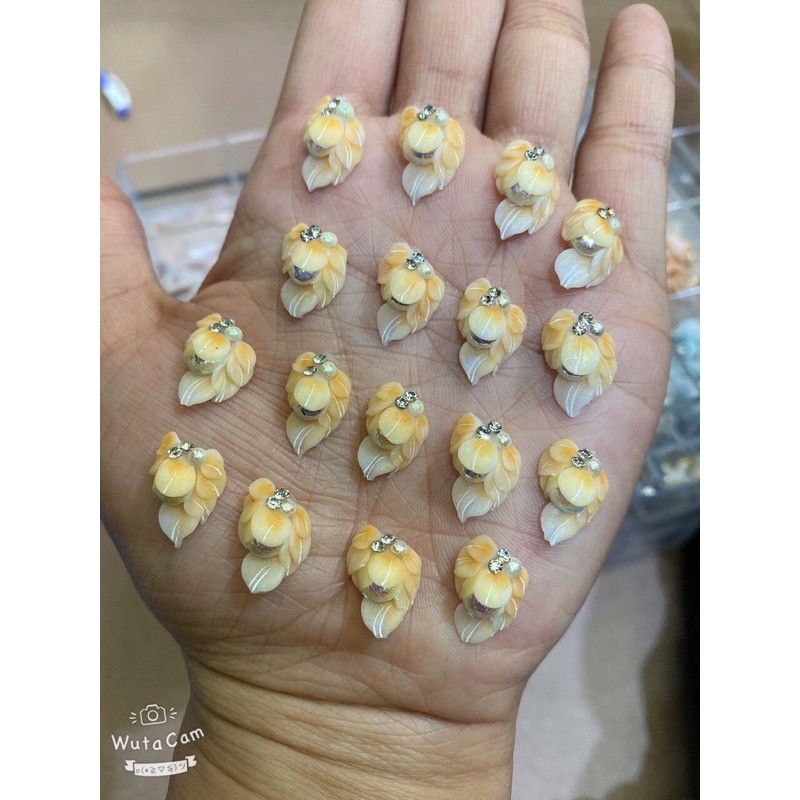 Hoa bột hoa gắn góc