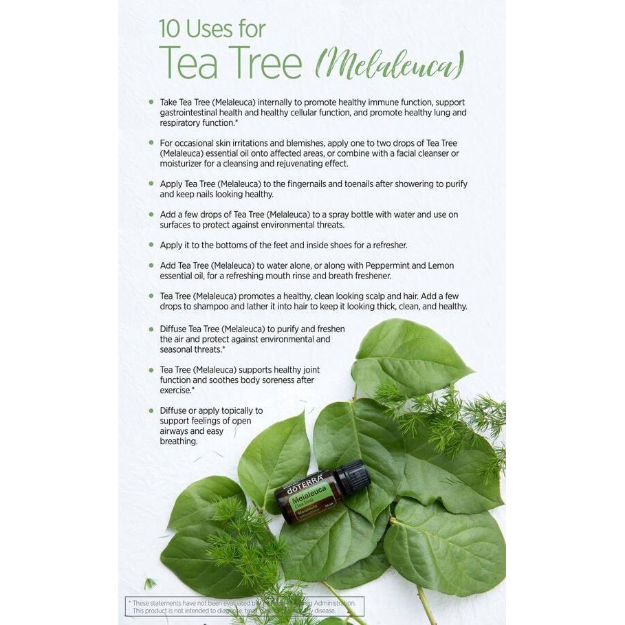 Tinh dầu Tràm Trà Tea Tree Melaleuca Tinh Dầu Nguyên Chất doTERRA USA
