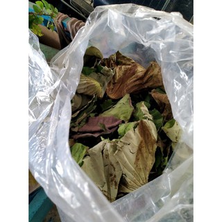 3kg sen trắng khô cho khách