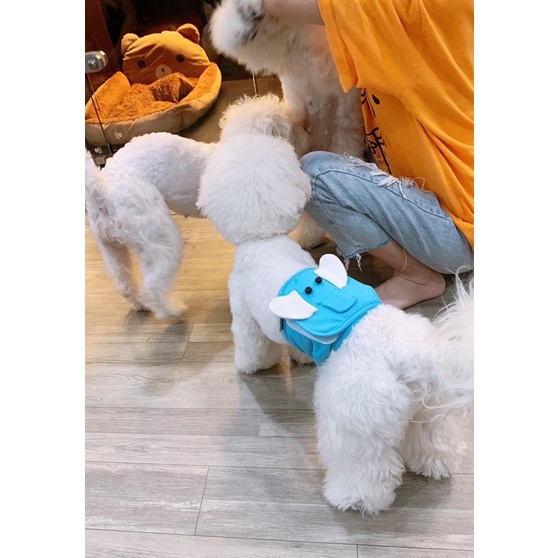 Tã quấn sinh lý cho chó đực hình thú ngộ nghĩnh