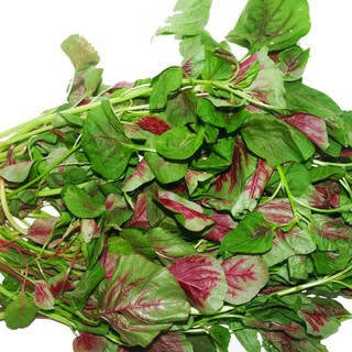 20GR - HẠT GIỐNG RAU DỀN