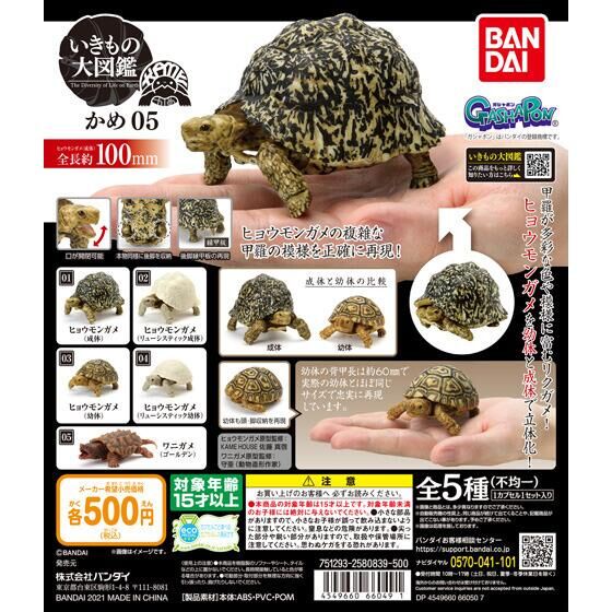 MÔ HÌNH TRỨNG GASHAPON BANDAI Rùa  TURTLE 05 NGẪU NHIÊN