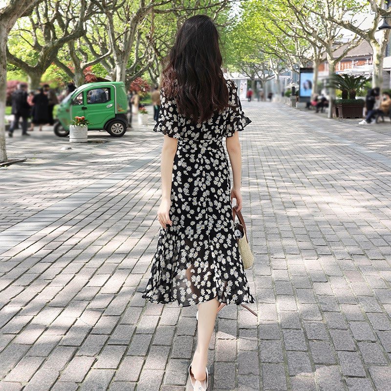 ĐẦM HOA CÚC  ĐEN HOA TRẮNG