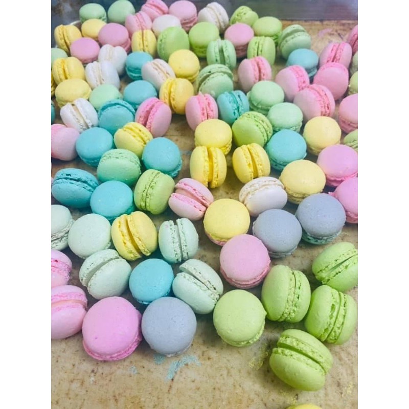 Macaron (100v mini size)