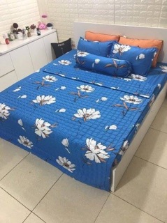 Sét chăn hè + 2 vỏ gối + ga chun