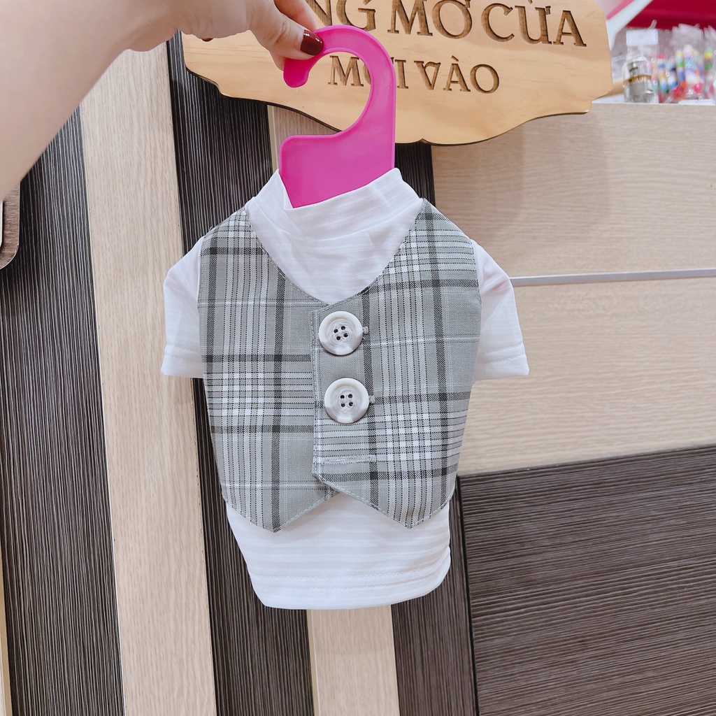 ÁO vest cho thú cưng