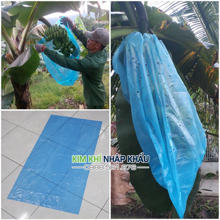 Túi bao buồng chuối kích thước 70x140cm - TB70140