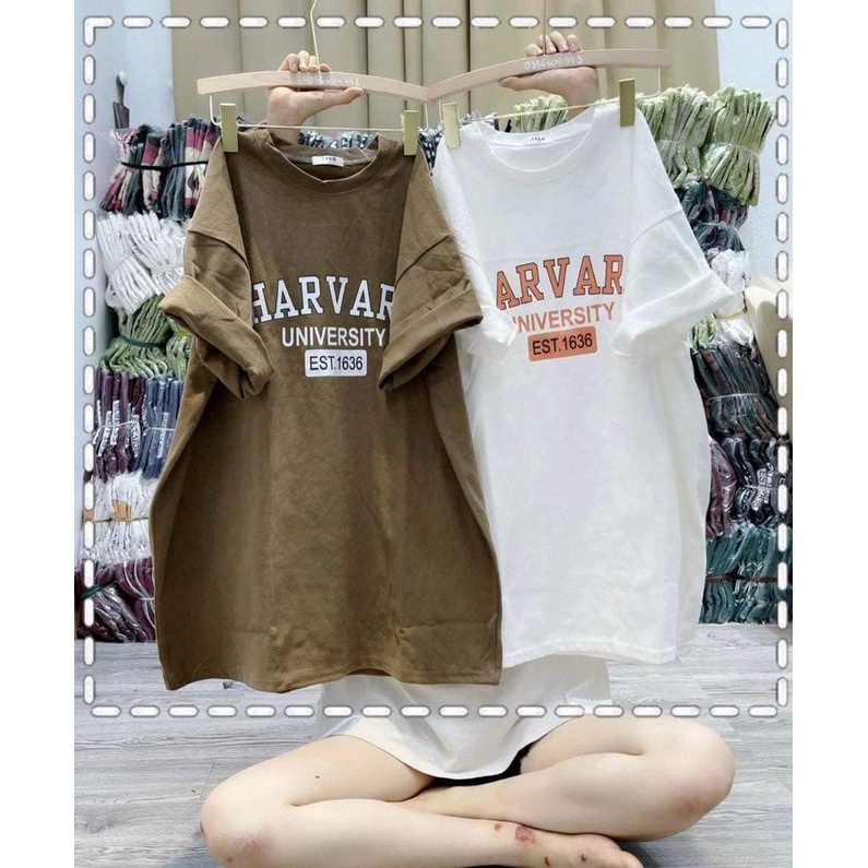 Áo phông Quảng Châu 3158 chất cotton khô