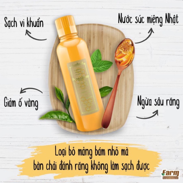 Nước súc miệng làm sạch mảng bám PROPOLINSE Nhật Bản 600ml