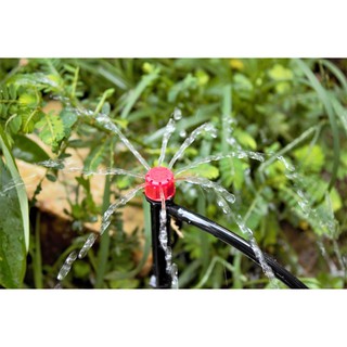 Bộ 20 mét dây dẫn tưới 4/7( 6mm )