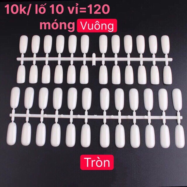 10 lố (120 Móng/lố) gắn sổ mẫu/móng đế bằng dán sổ