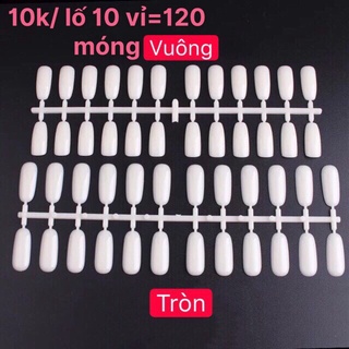 10 lố gắn sổ mẫu/móng đế bằng dán sổ