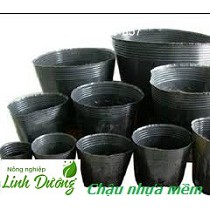 Set 3kg bịch bầu ươm các cỡ