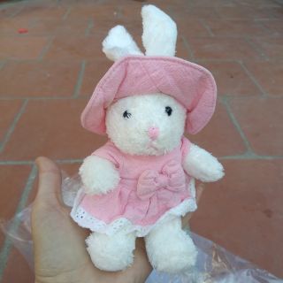 Gấu chị mĩ linh