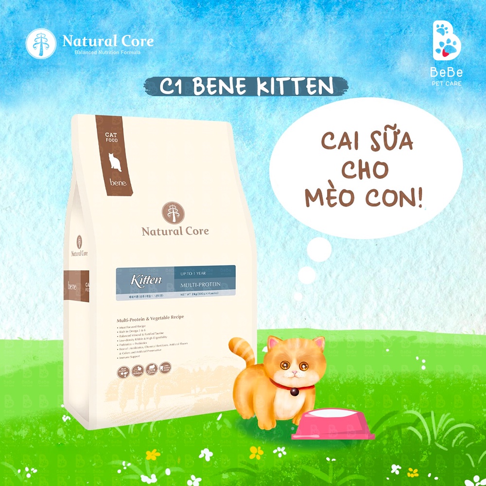 [5Kg] Hạt NATURAL CORE Kitten Cho Mèo Con