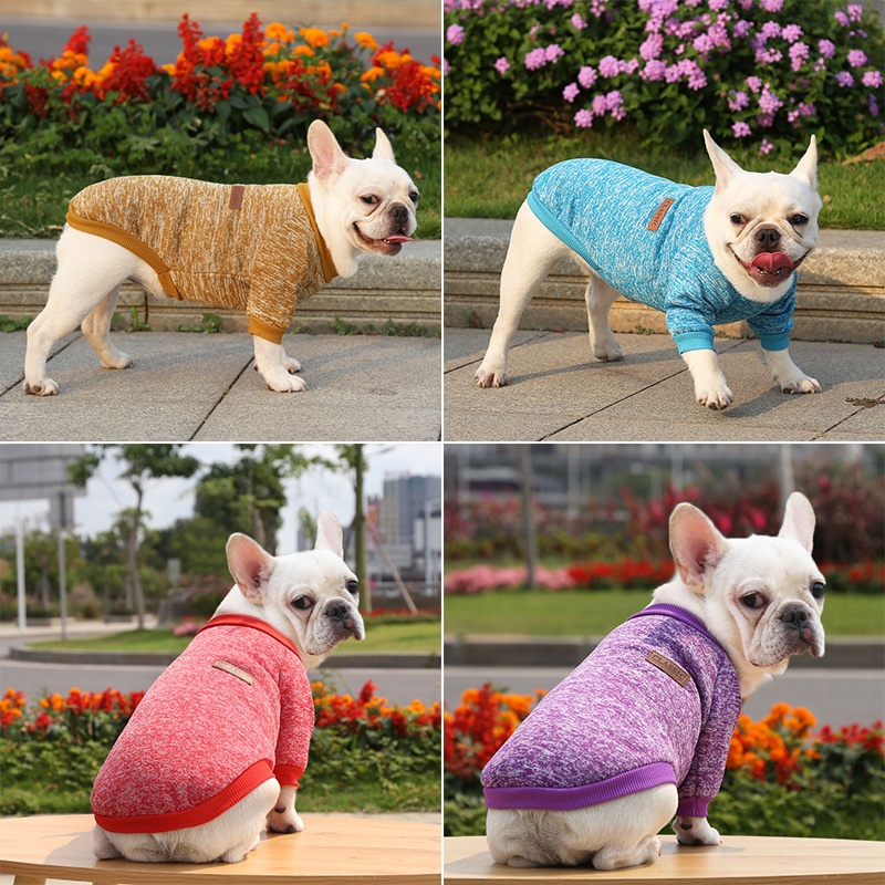 Áo Len Dễ Thương Cho Thú Cưng Nhiều Màu Tùy Chọn