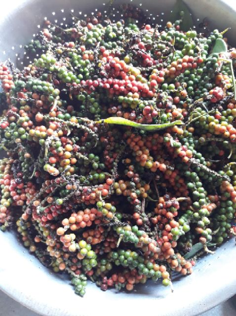 100g Tiêu đen sạch nhà trồng. Đảm bảo hạt chắc mẩy chất lượng uy tín