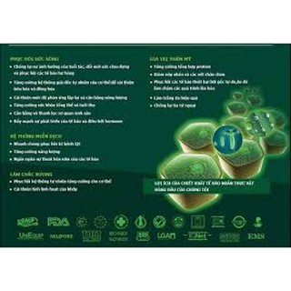 Noãn Thực Vật Công NGhệ NANO