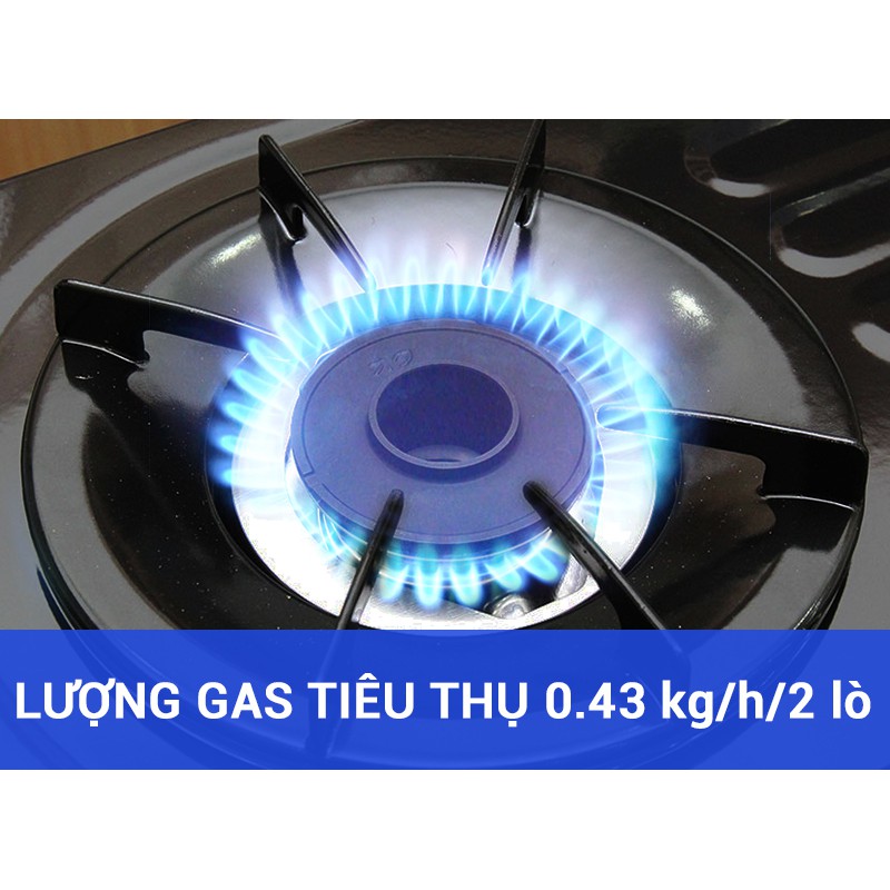 Bếp Gas Đôi Dương PALOMA PA-V71EG Đồng