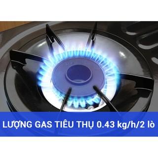Bếp gas Paloma PA-V71EG
